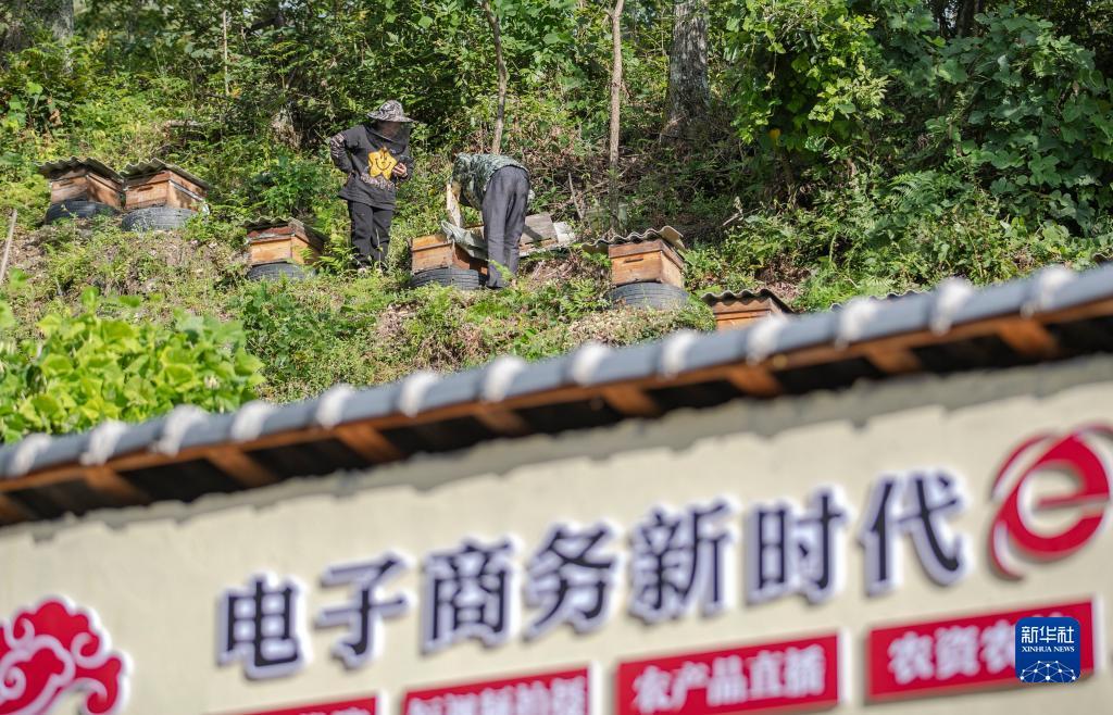 葡京直营网